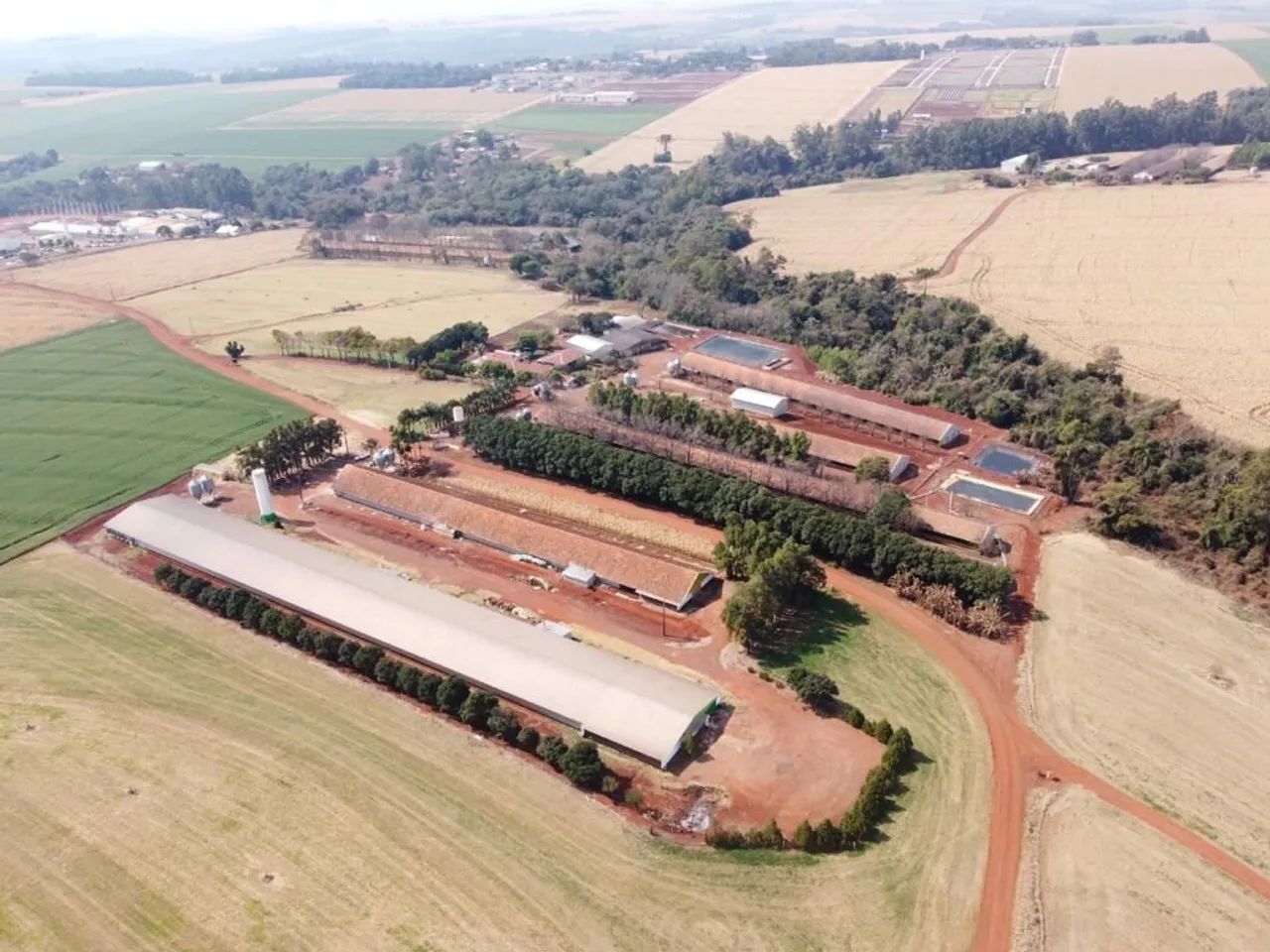 OPORTUNIDADE  GRANJA DE ALTA PRODUTIVIDADE EM TOLEDO  PR - Foto 3