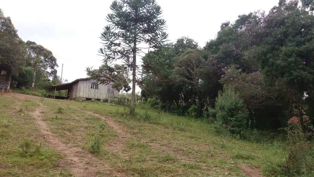 Oportunidade! Chácara em Munhoz- MG - próximo a cachoeiras  - Foto 3
