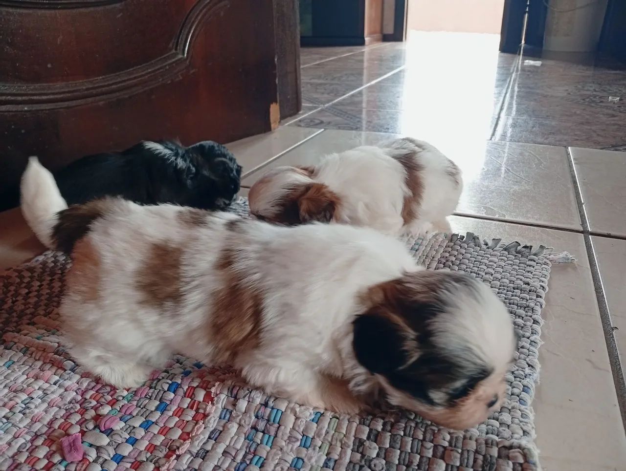 Shiatsu  - Foto 2