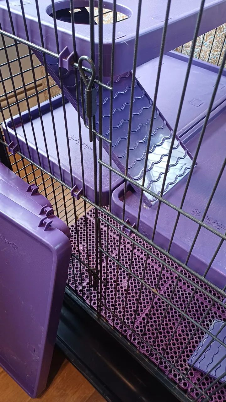 Gaiola Roedor  - Foto 4