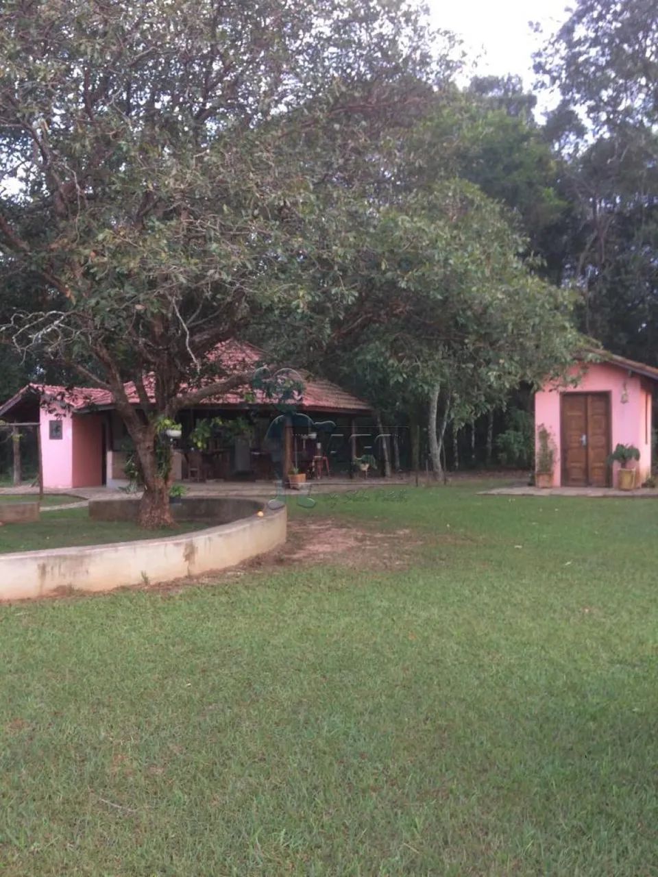 SÍTIO EM CÁSSIA DOS COQUEIROS - Foto 2