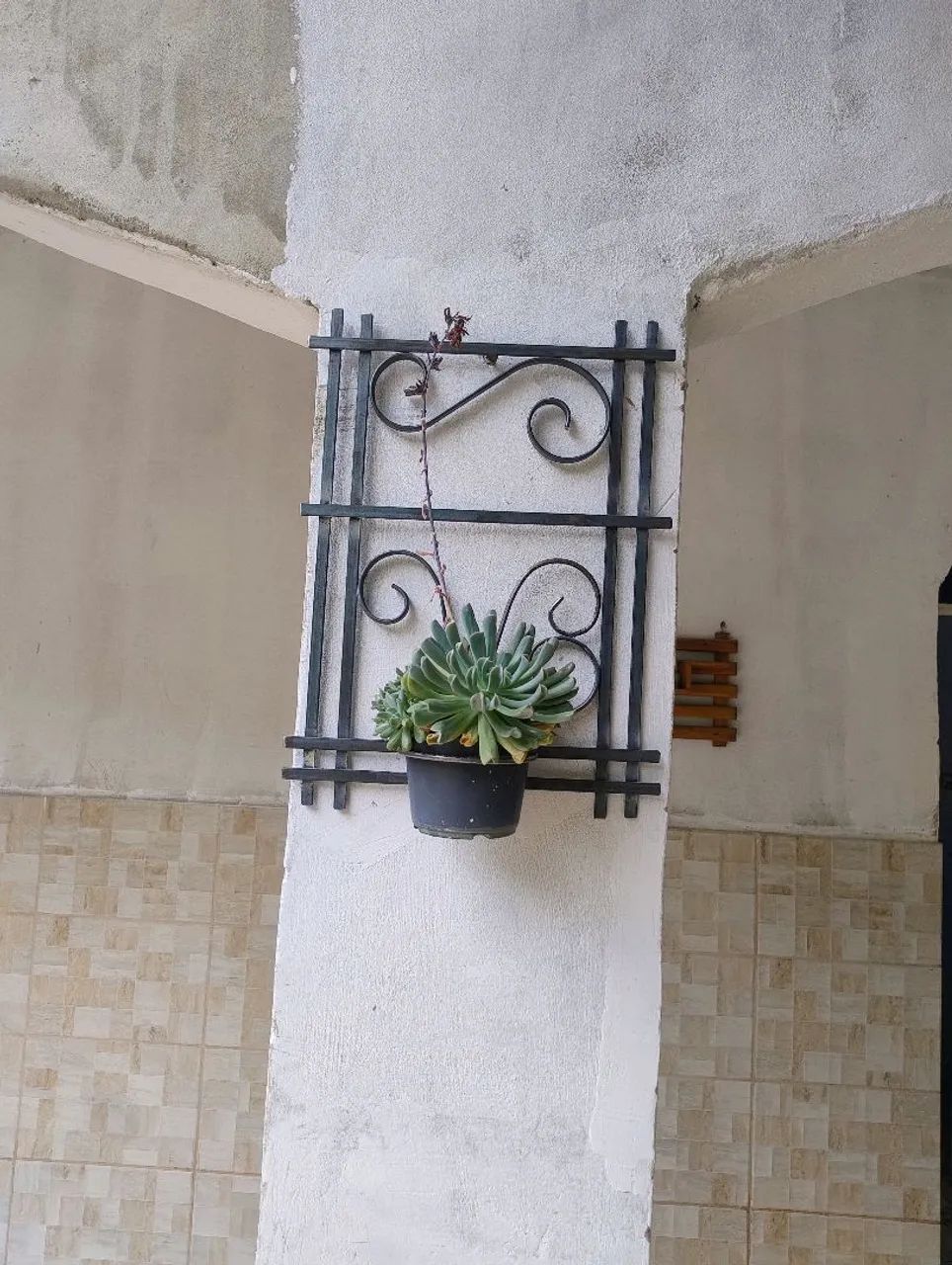 Suporte armado plantas  - Foto 4