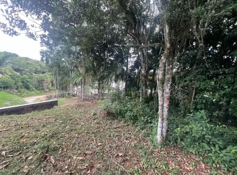 *Vendo chácara em Santa Isabel - Foto 4