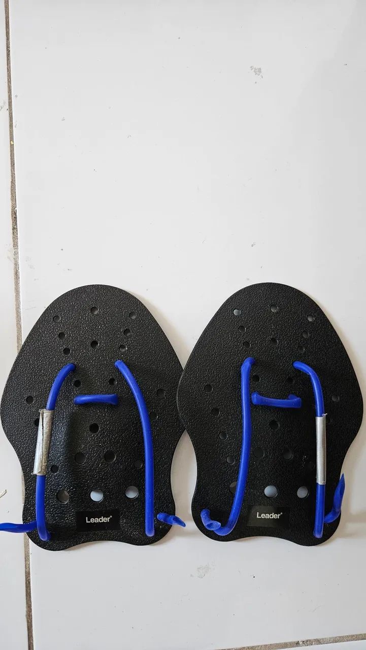 Nadadeira e Palmar Leader - Foto 2