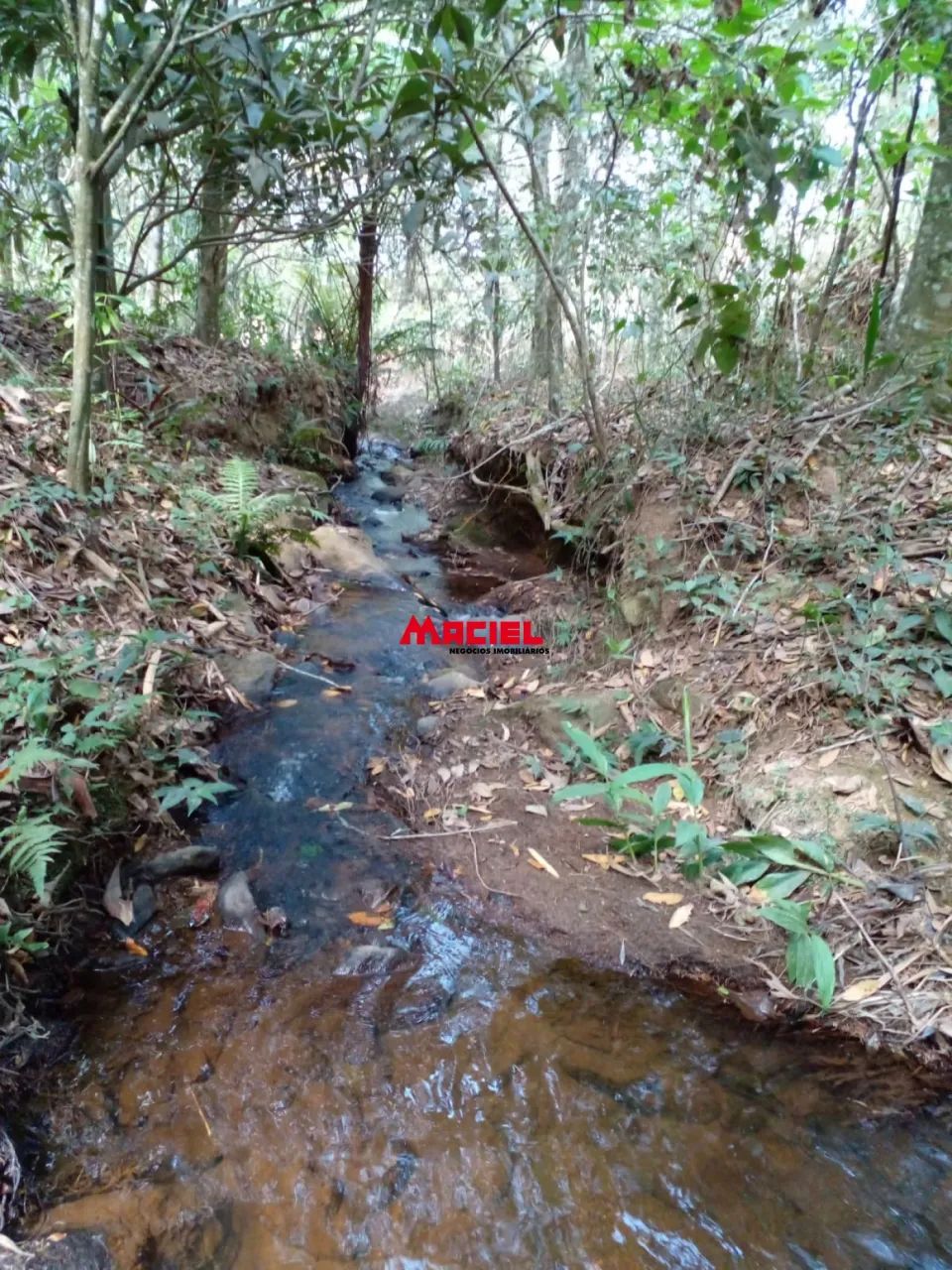 lindo sitio sapucai mirim - Foto 2
