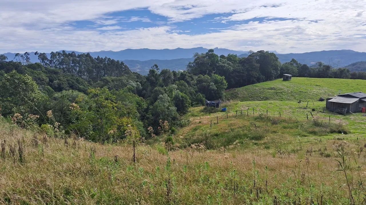 Área de 13 hectares apenas R$565.000,00 em Anitápolis-SC  - Foto 4
