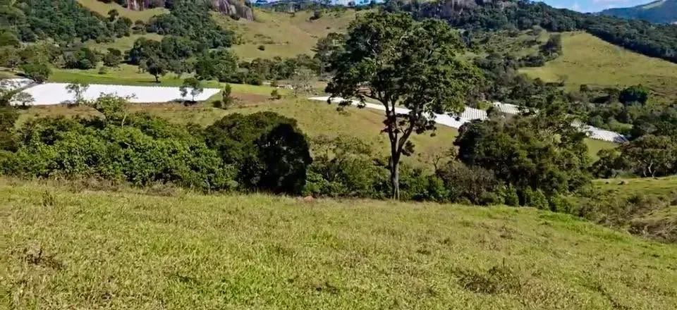 Promoção pedra do Índio