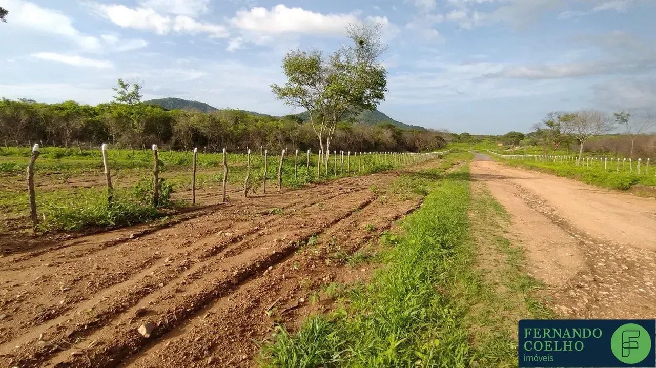 Fazenda para venda com 210ha em Umirim - CE - Foto 5