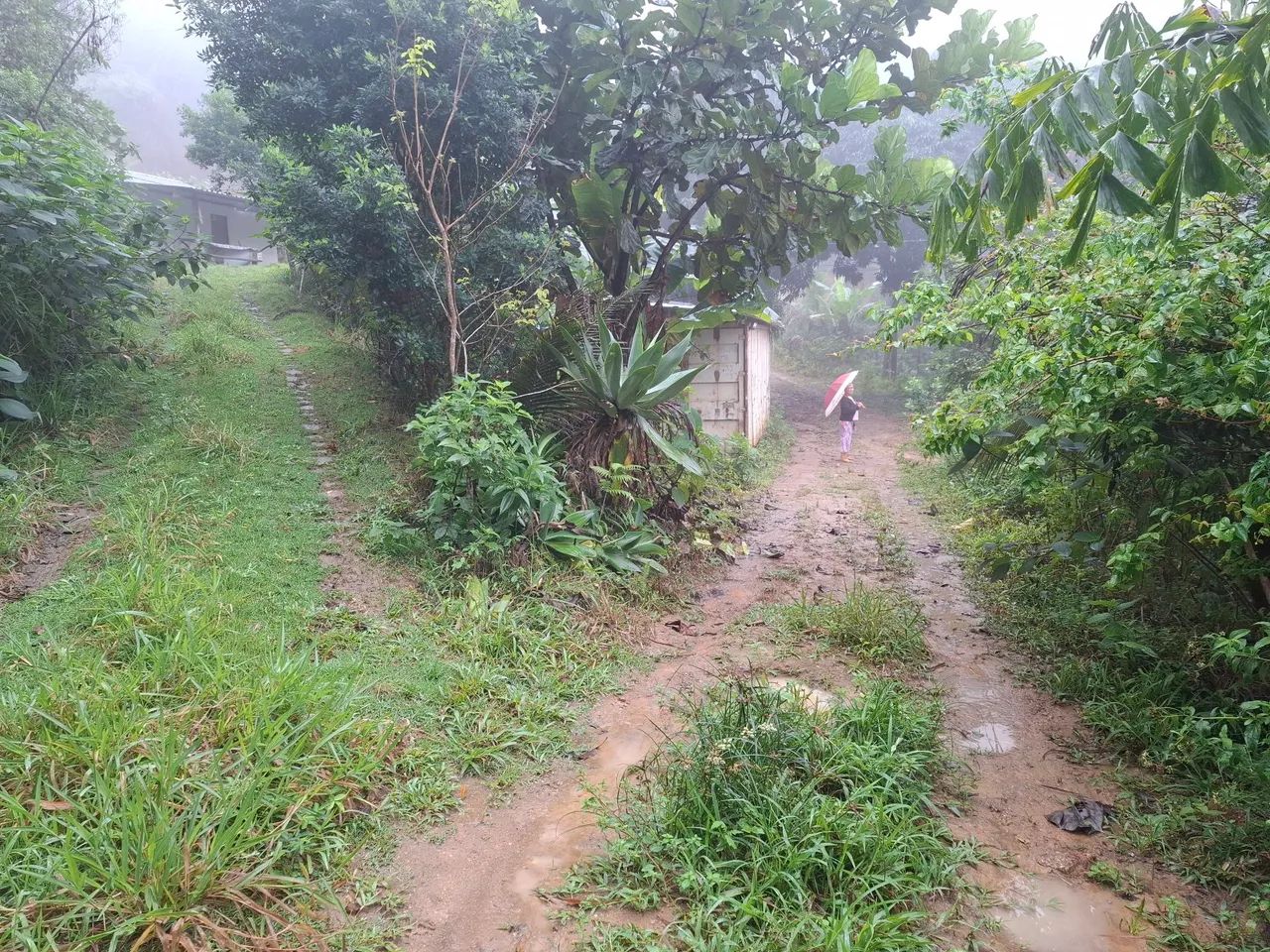 Sitio em Santa Luzia - Guarapari - Foto 4