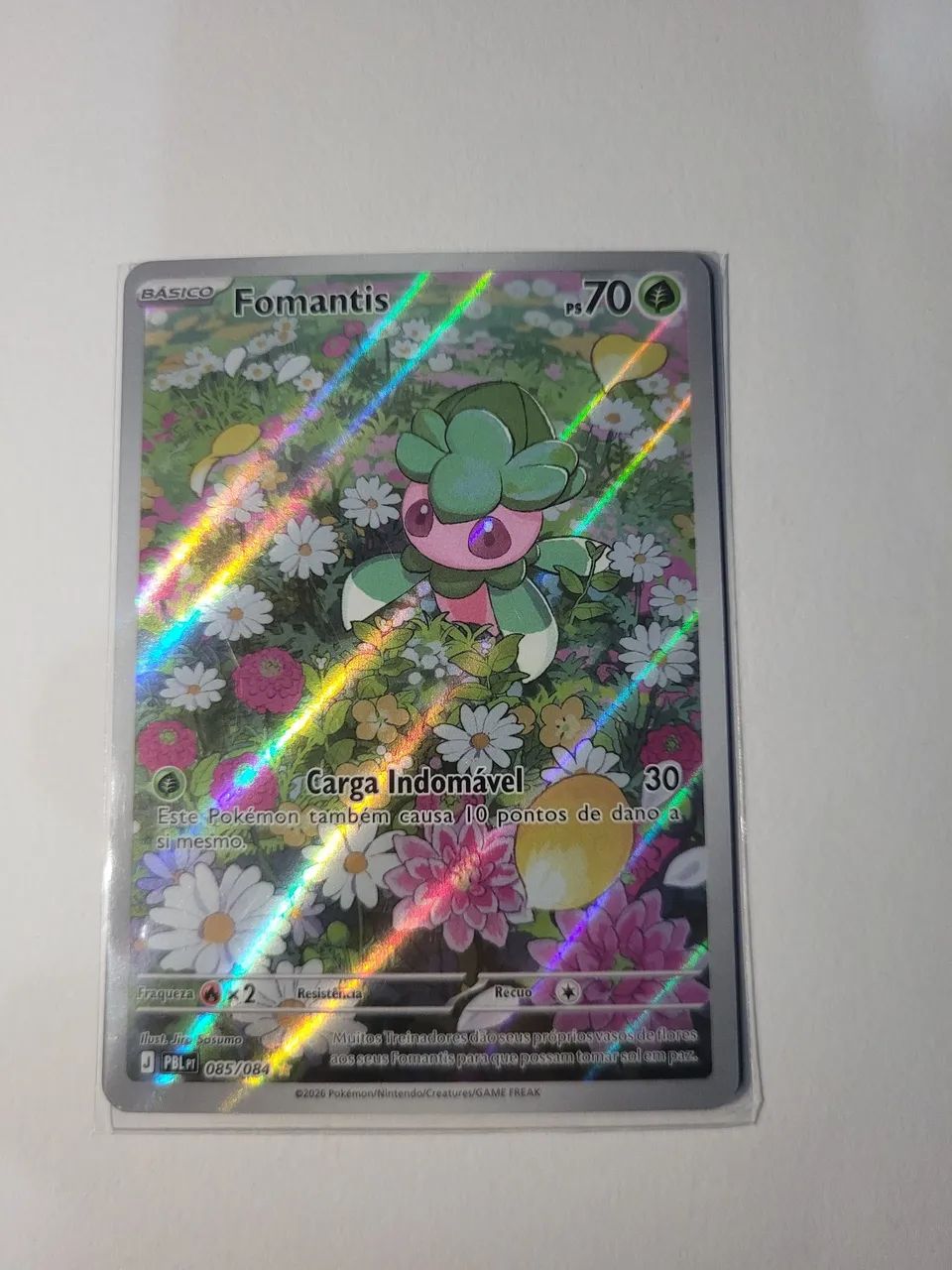 Kit 3 Cartinhas pokemon