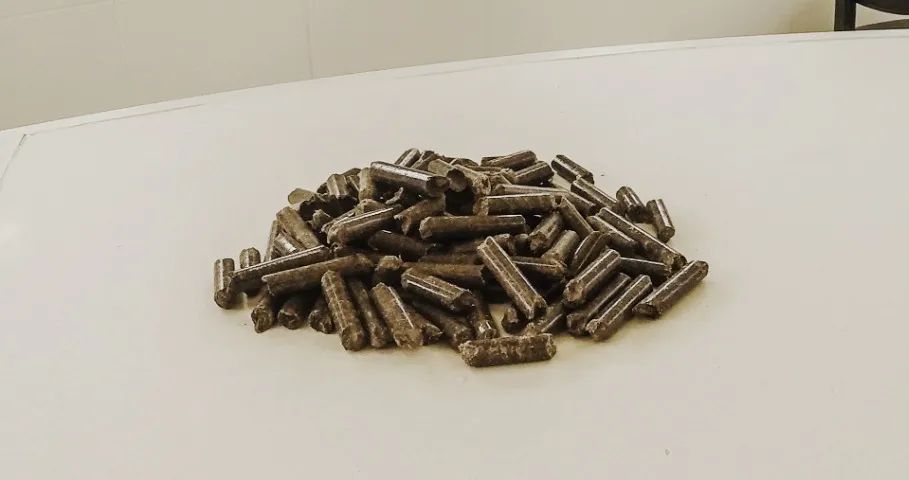Consultoria em Pellets de Madeira