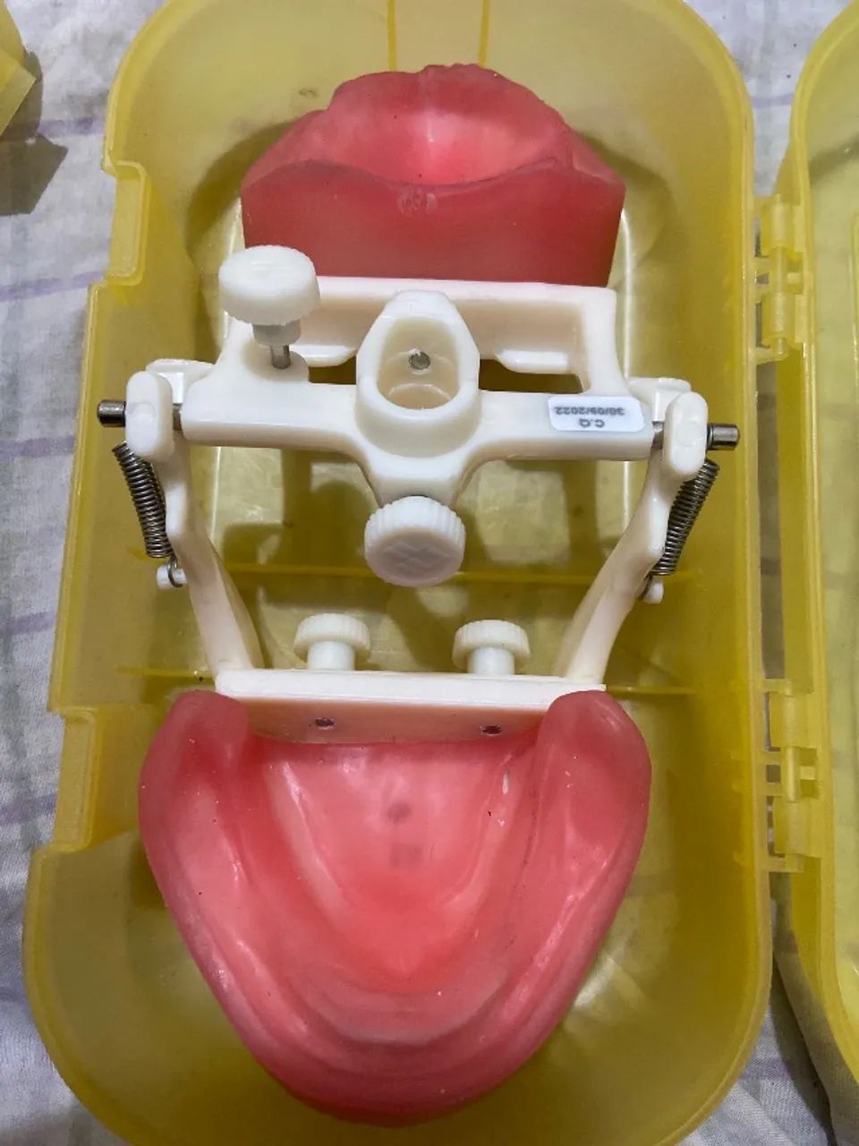 Manequim odontológico pronew