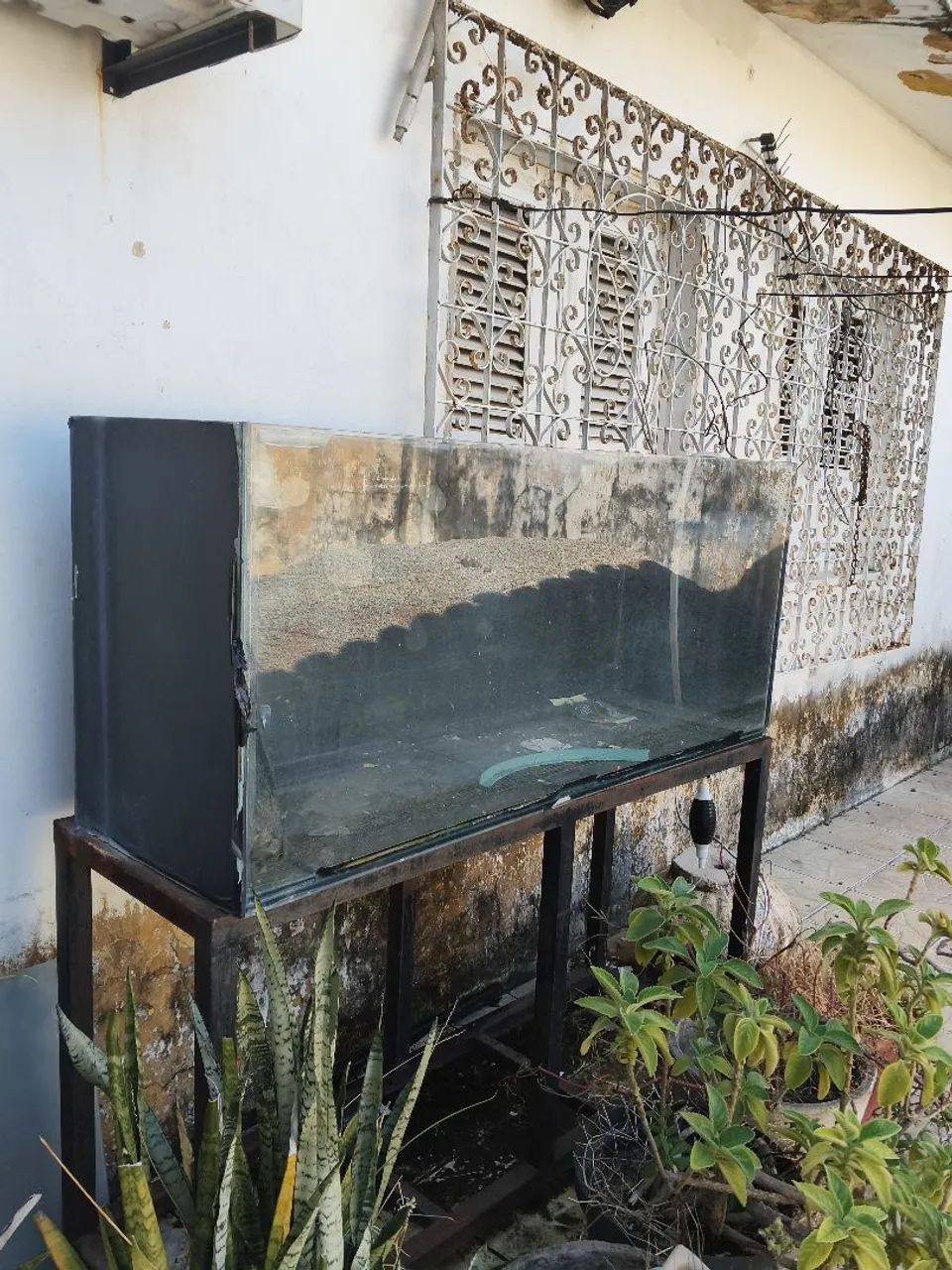 Vender aquário