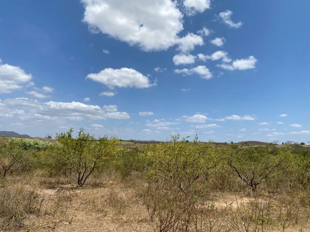 Vendo Terreno em Retiro - Maranguape/CE - Foto 4