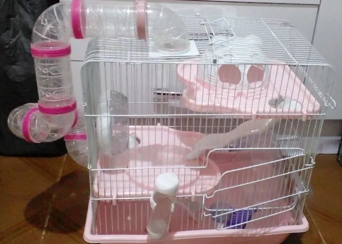 Casa gaiola para hamster