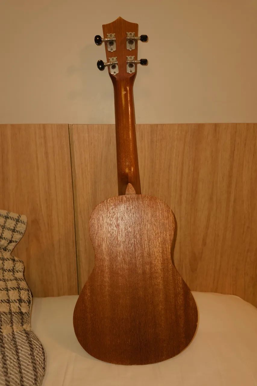 Ukulele (concert)  - Foto 4
