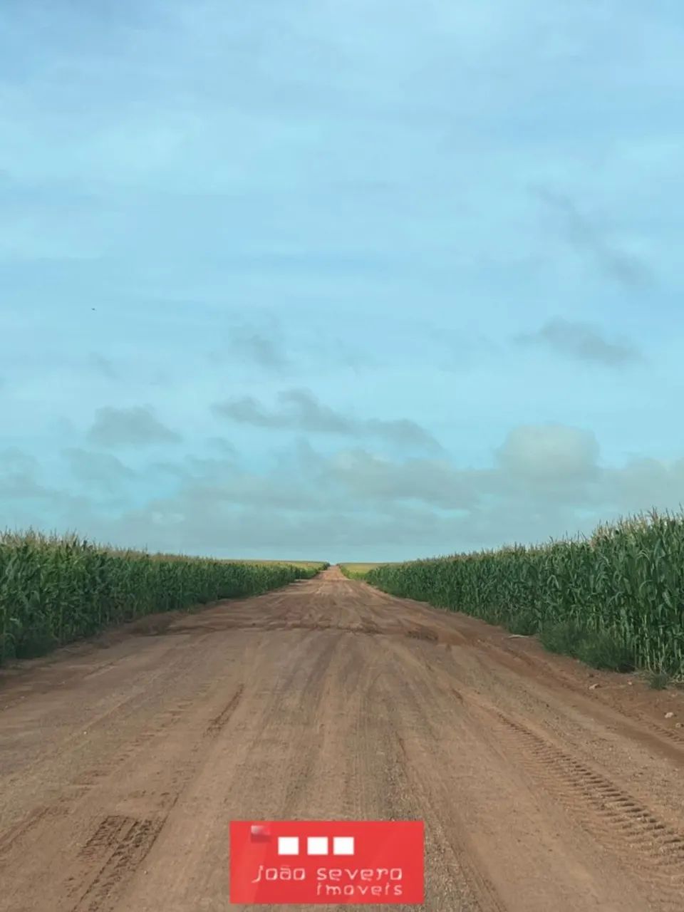 Fazenda para Venda em Nova Ubiratã - Foto 2