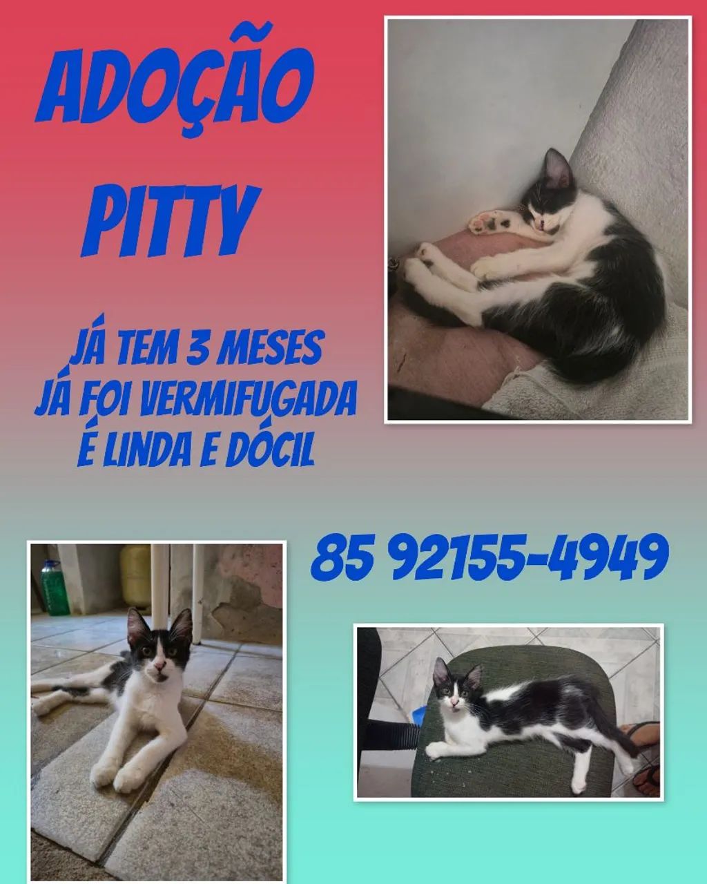 Adoção da Pitty