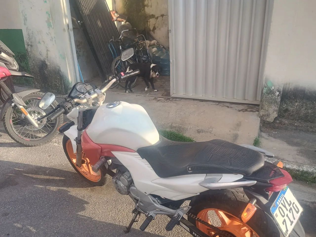CB 300 rapsol - Foto 4