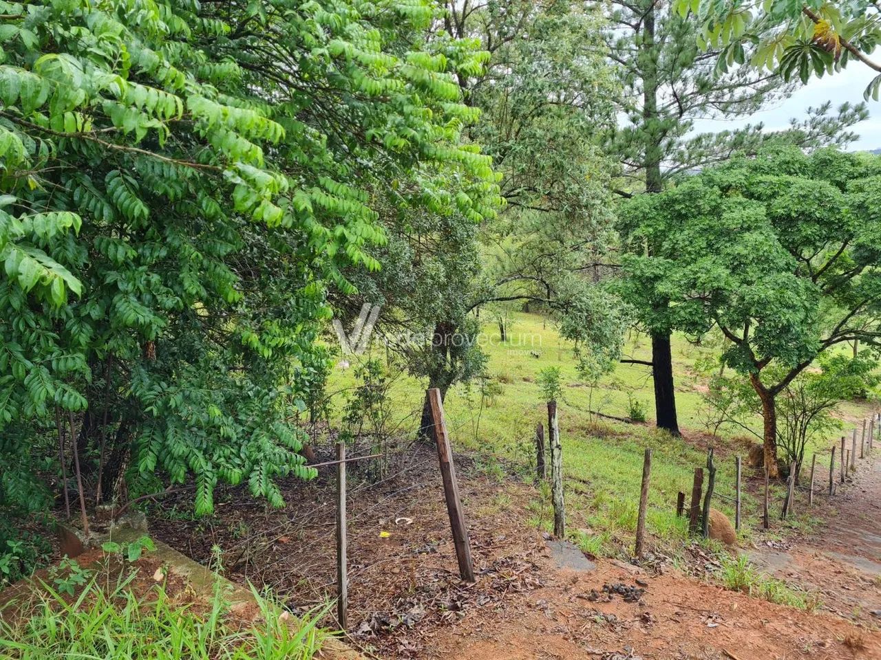 chácara - Chácara Santa Margarida - Campinas - Foto 3