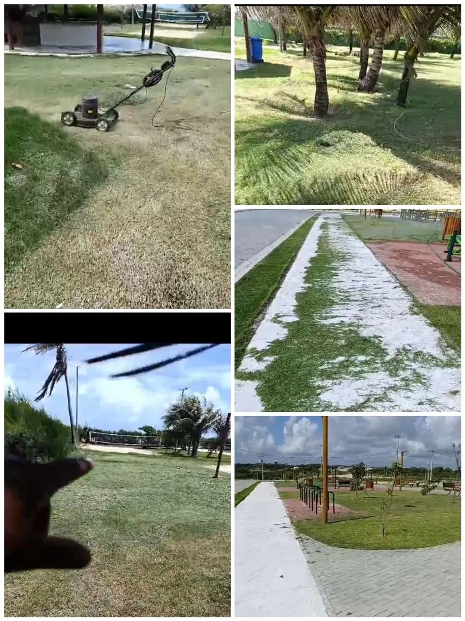 jardineiro, piscineiro, podas, limpeza de terreno  - Foto 4