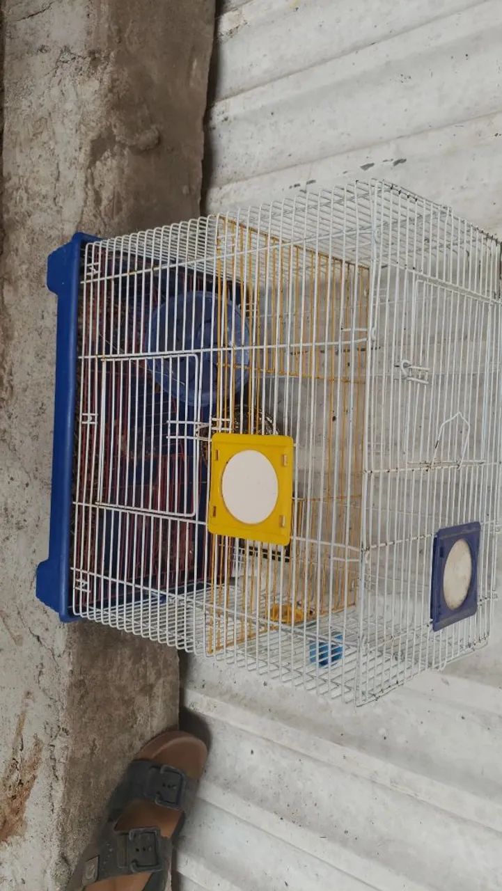 Gaiola ramister  - Foto 2