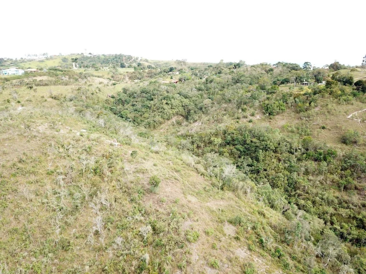 Propriedade Rural em Chã Grande - Foto 5