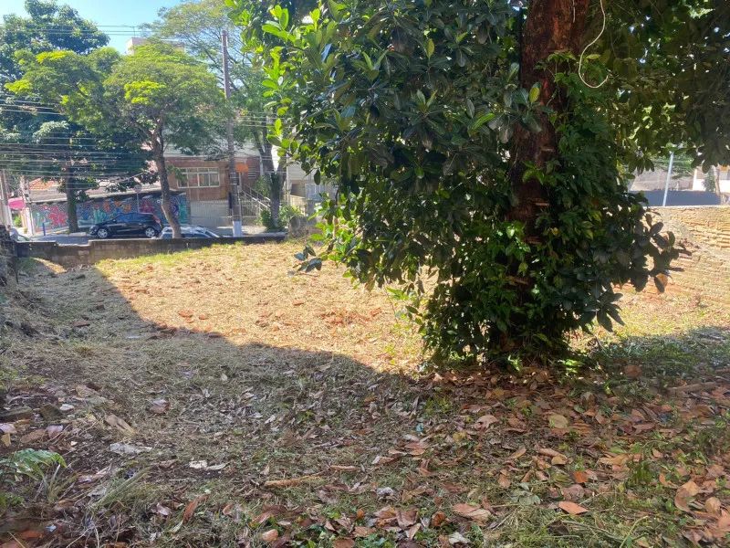 TERRENO VAGO RUDGE RAMOS S.B.CAMPO - Foto 4