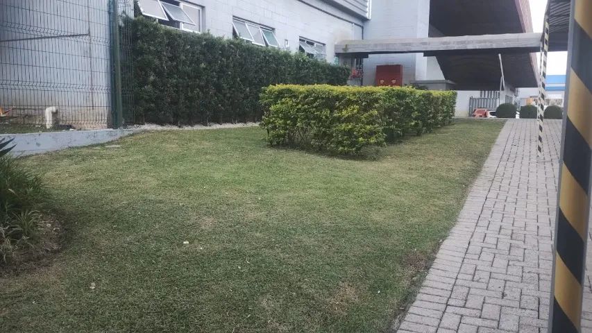Preciso de jardineiro com experiência e CNH  - Foto 2