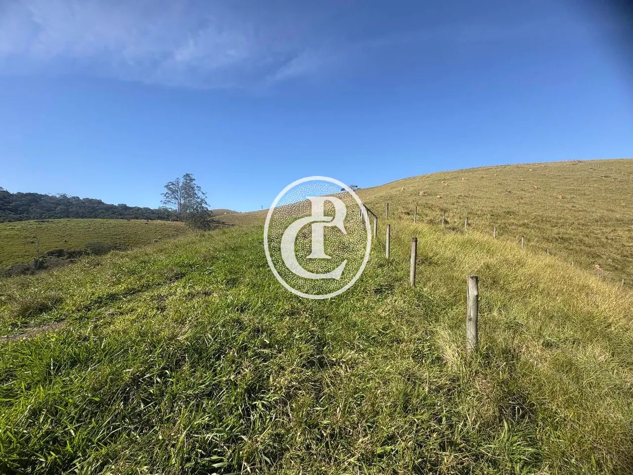 Sítio de 30 alqueires em Igarata SP - Foto 3