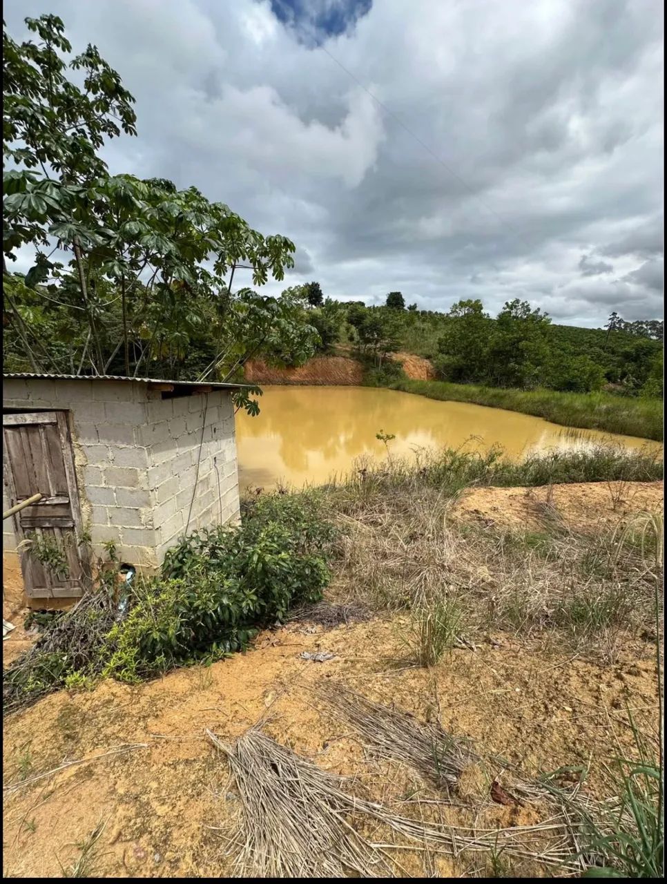 Terreno produtivo a venda  - Foto 3