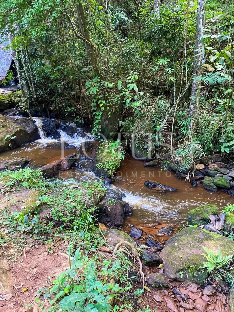 APROVEITE ESSA OPORTUNIDADE EM IGARATÁ - Foto 2
