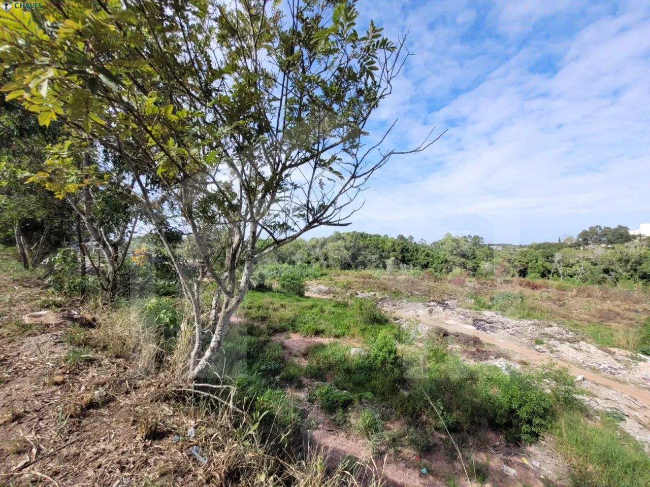 Área Comercial com 34.000 m² na Costa Dourada, Serra/ES - Foto 4