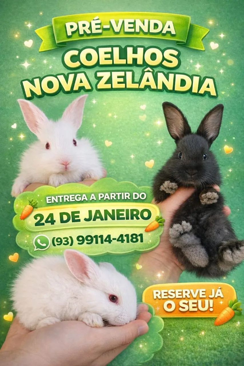 Vende-se coelhos - Foto 2