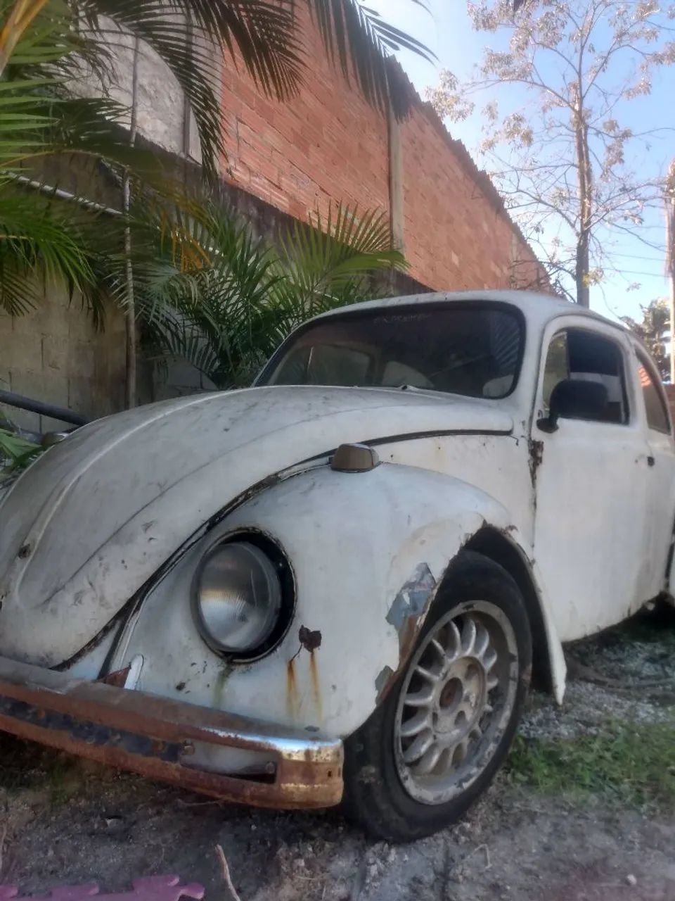 Rodas fusca - Foto 3