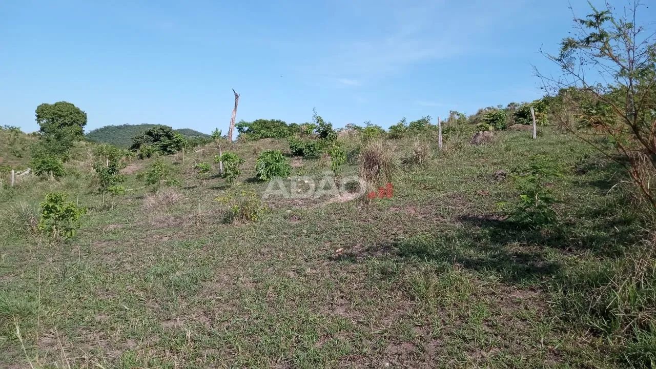 FAZENDA FORMIGA - Foto 2