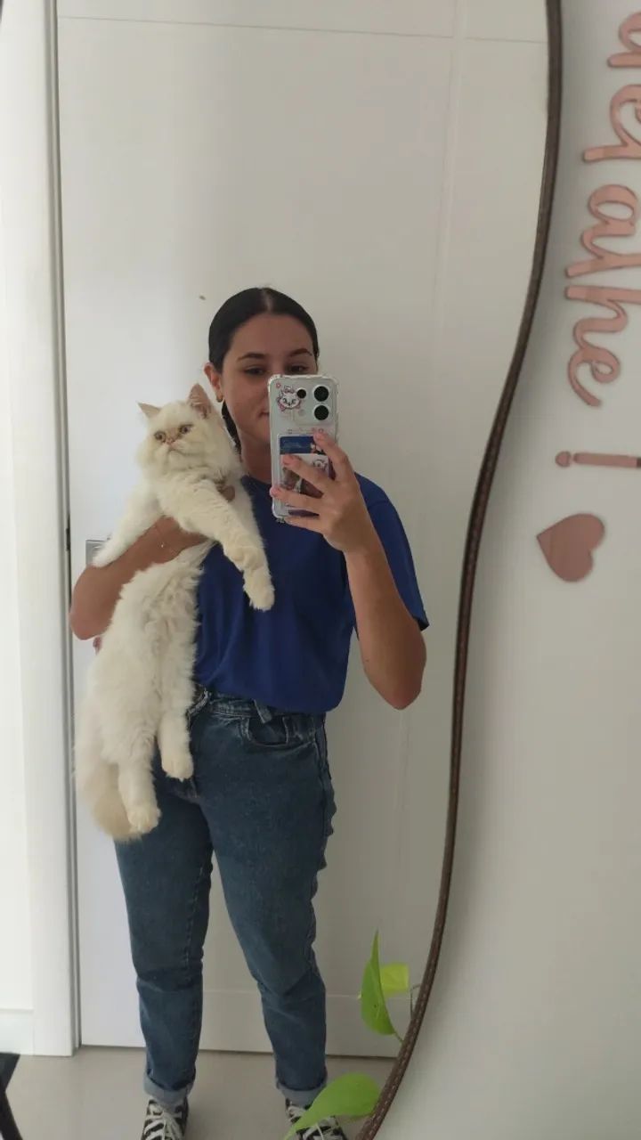 Gata persa procura namorado - Foto 2