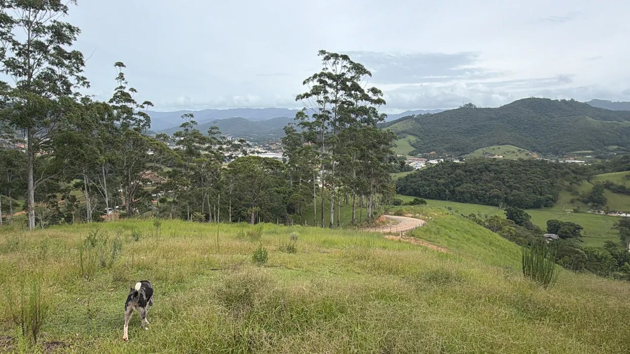 Foto - Antônio Carlos - 