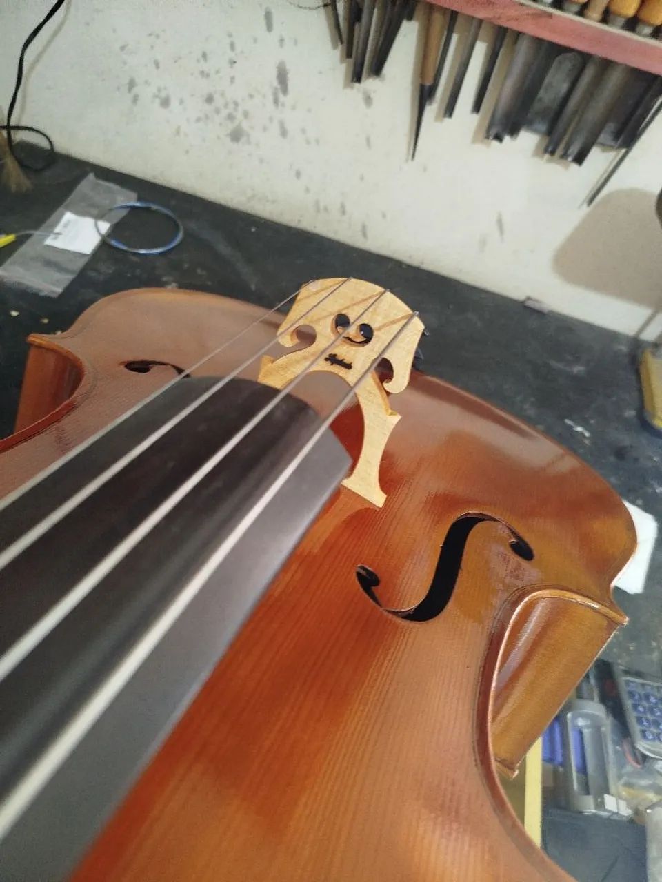 Violoncelo - Foto 3