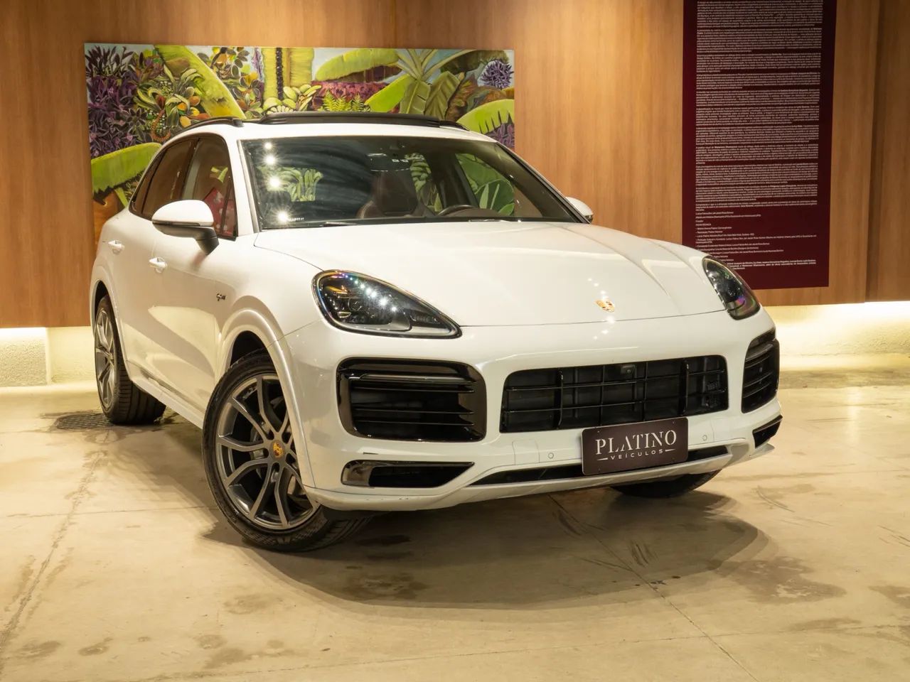 Porsche Cayenne E-hybrid 3.0 V6 462cv 2023