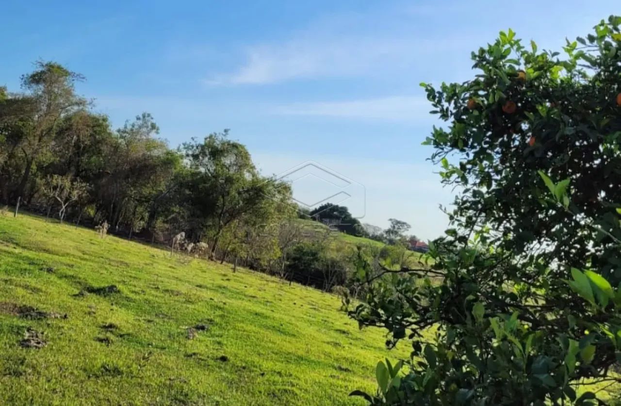 Rural Sitio em Adamantina