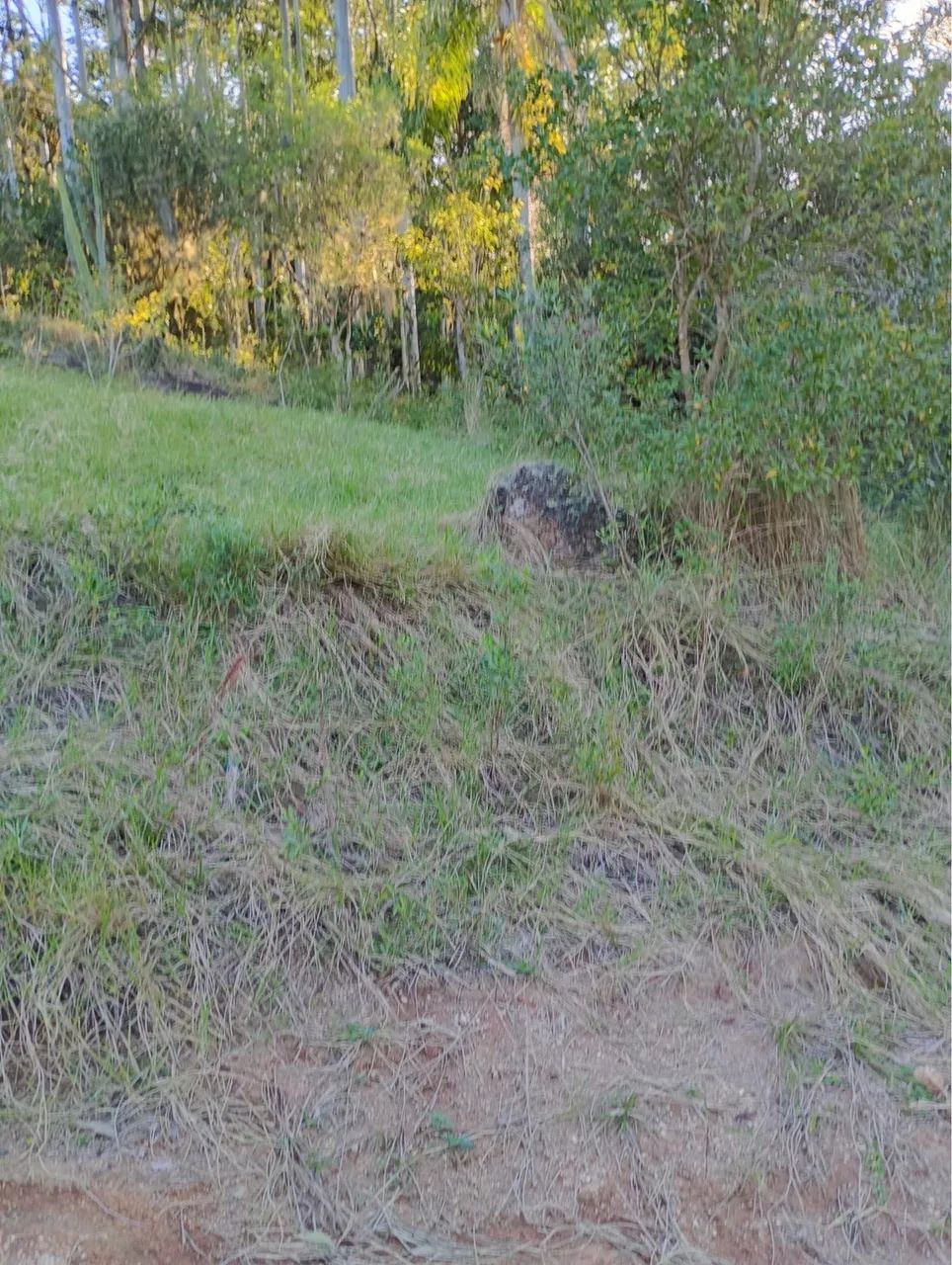 TERRENO 336m² À VENDA EM IMARUÍ/SC - BAIRRO NAZARÉ - Foto 4