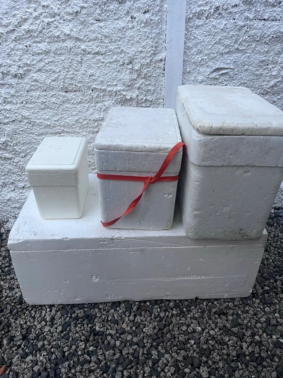 Caixas de isopor - Foto 3