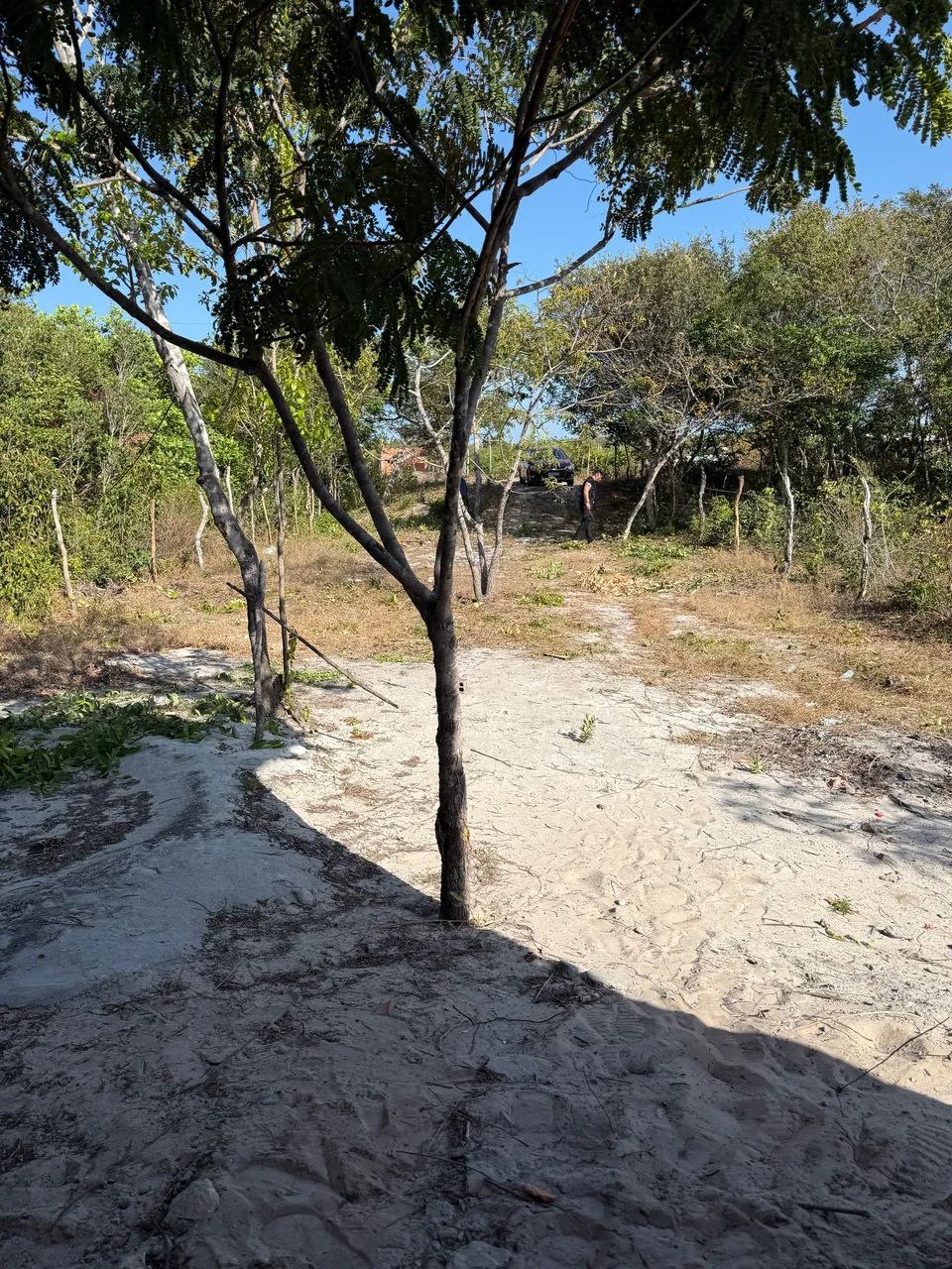 Venda de casa - Foto 4