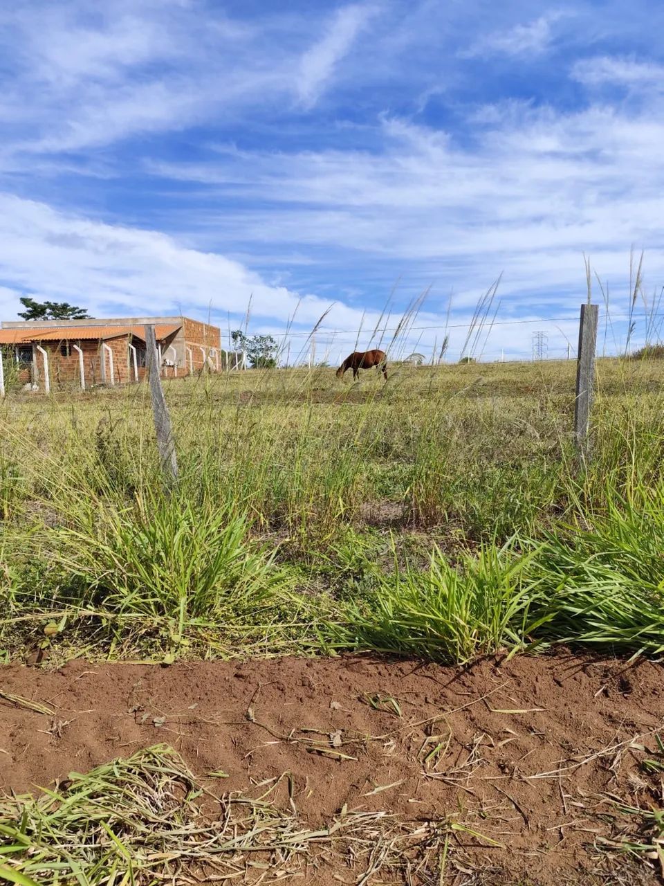 Terreno - Foto 4