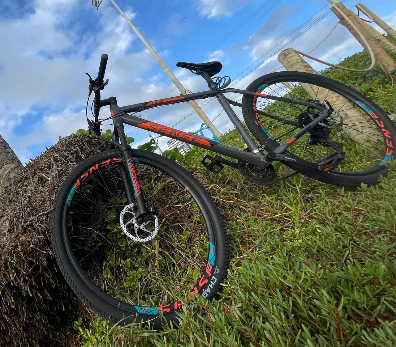 Bicicleta sense