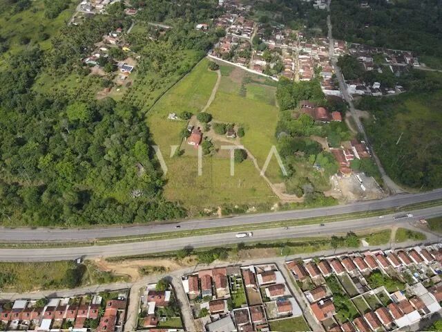Área com 3 Hectares - Foto 2