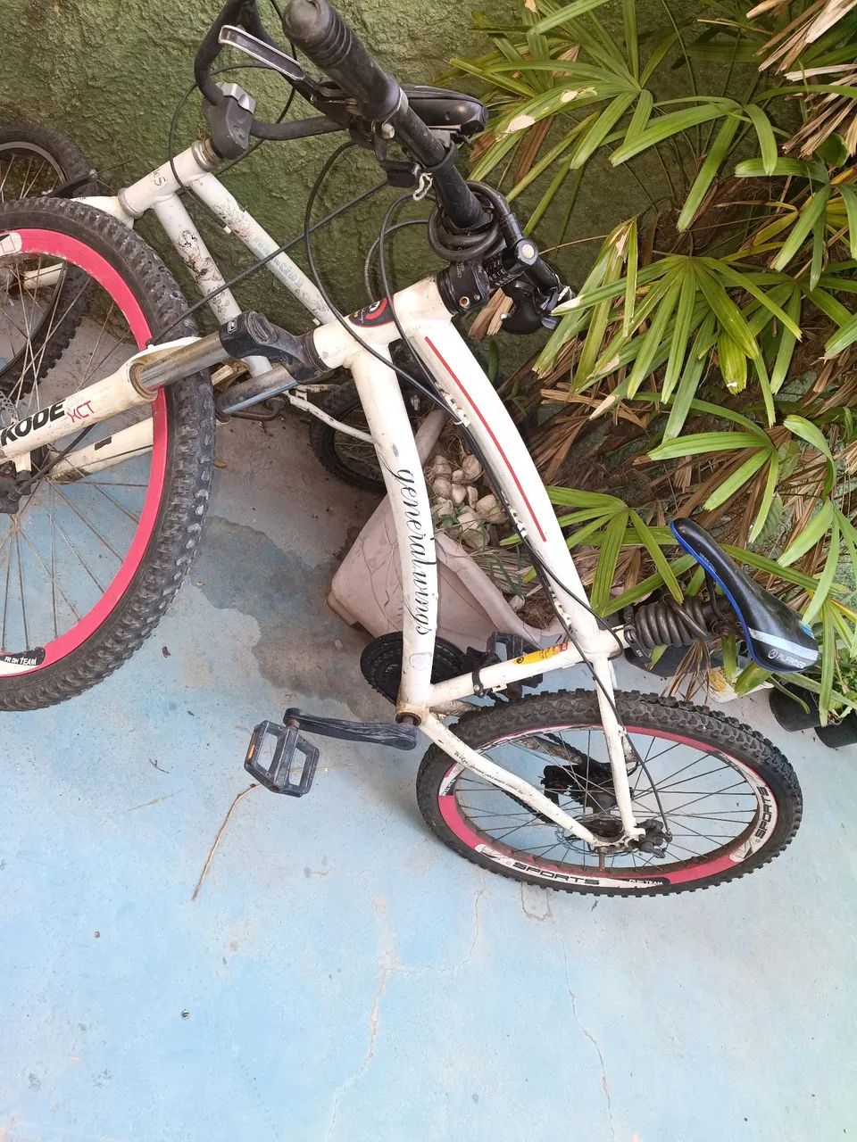 Vanda de bicicleta ? - Foto 5