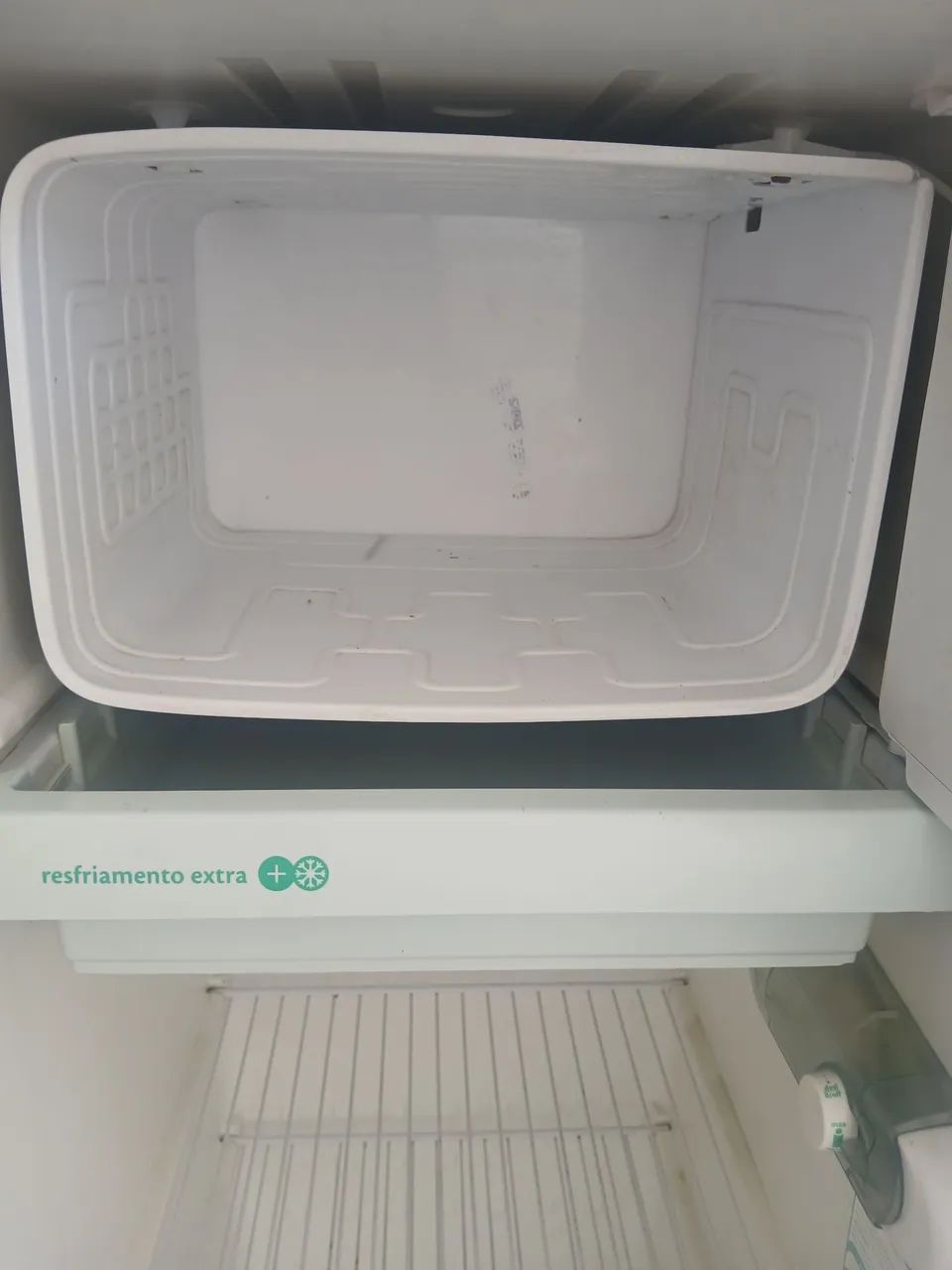 Consul palito  - Foto 5