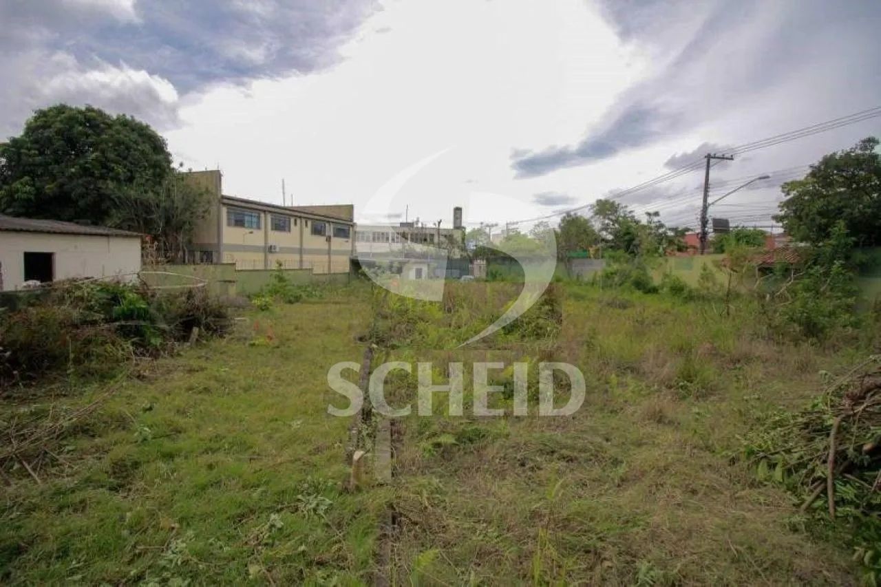 Terreno - Vila Friburgo - Foto 4